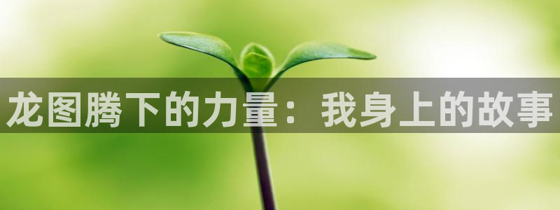 女神漫画官方免费版
